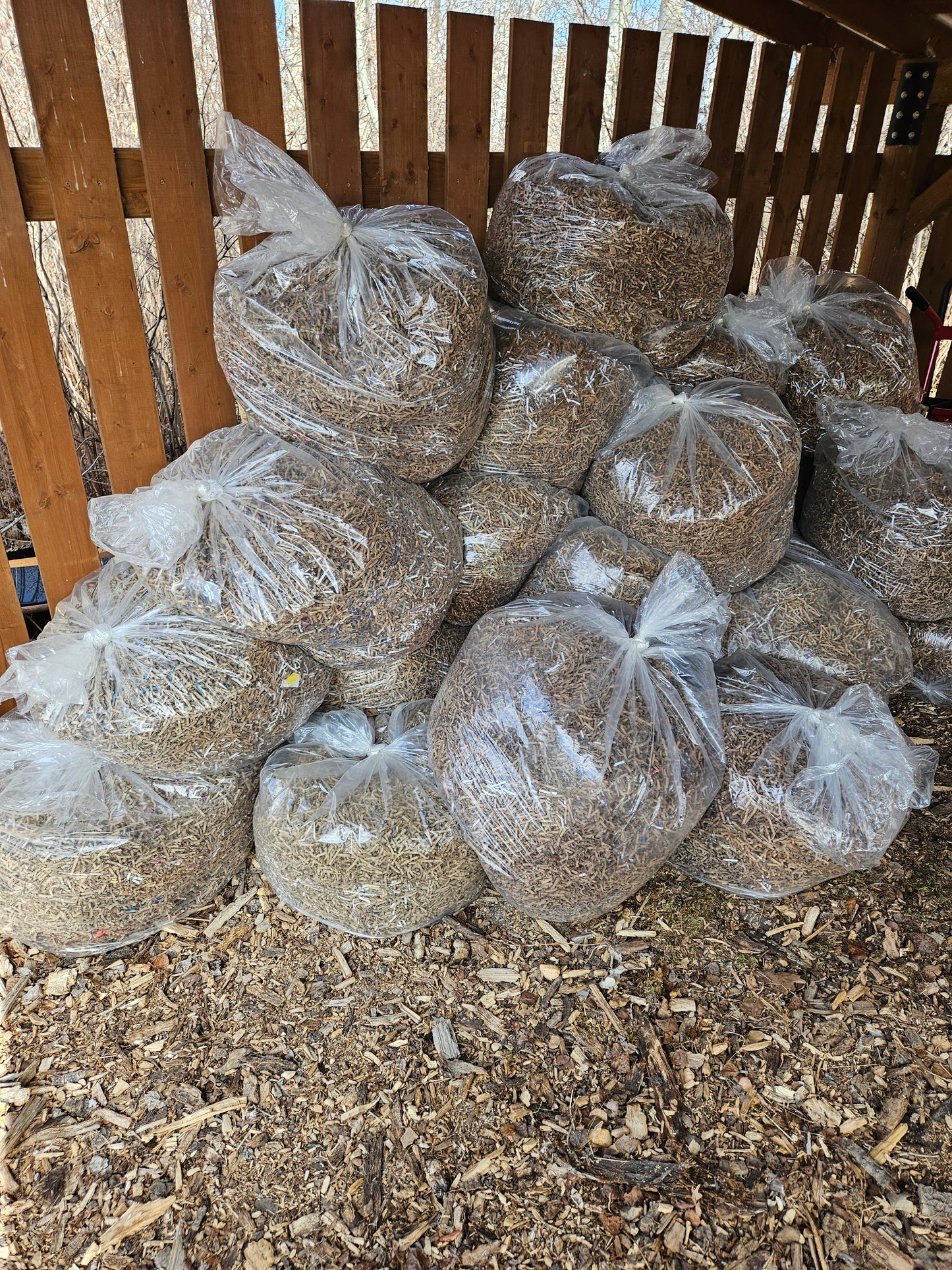 Shredded Cardboard